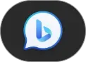 Bing